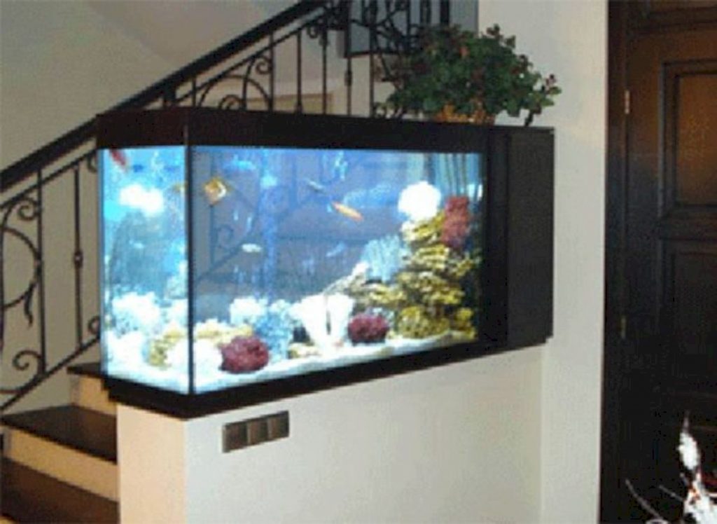 Aquarium design ideas that make your home look beauty 24