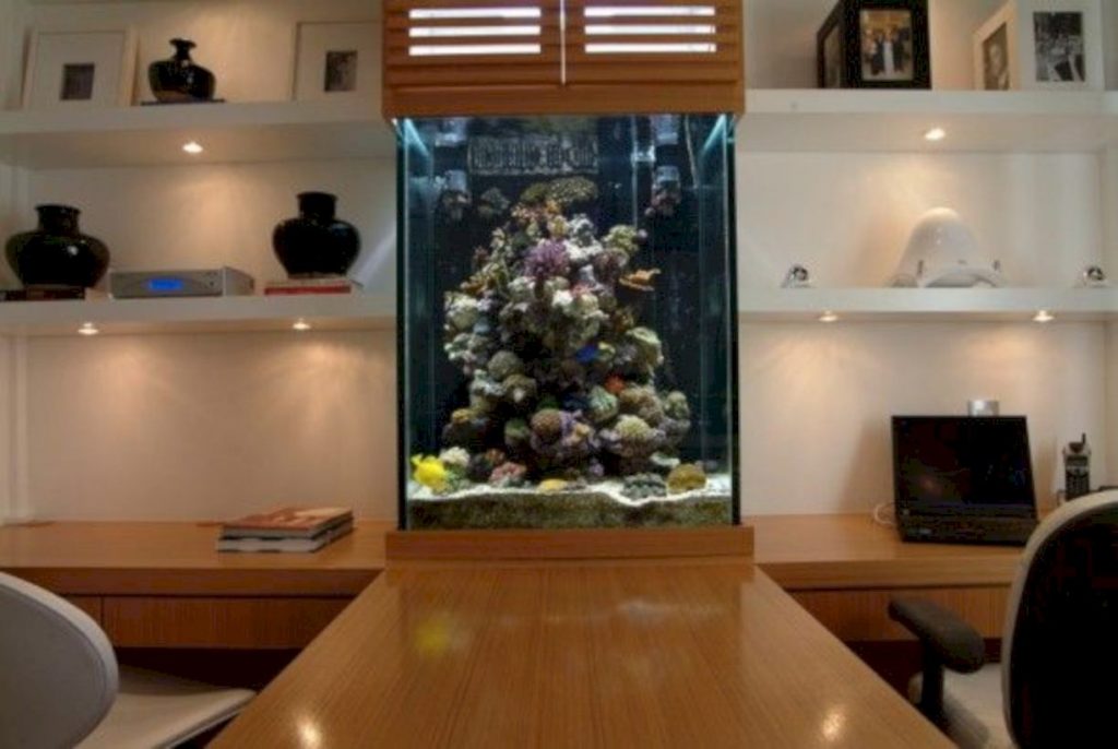 Aquarium design ideas that make your home look beauty 29