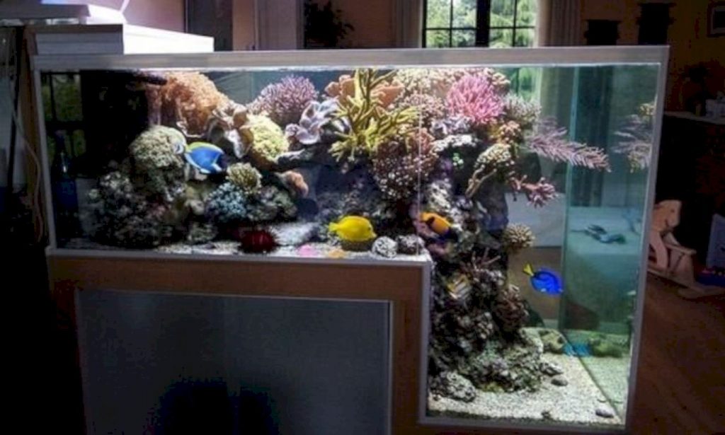 Aquarium design ideas that make your home look beauty 33