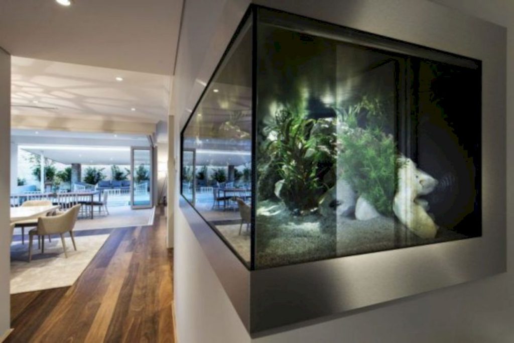 Aquarium design ideas that make your home look beauty 40