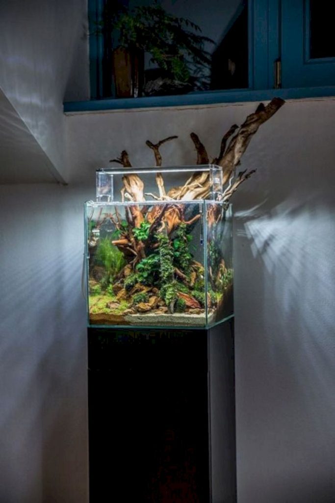 Aquarium design ideas that make your home look beauty 42