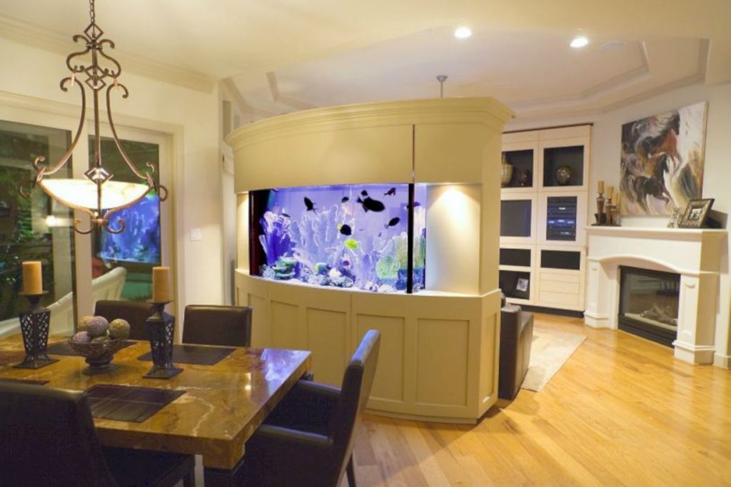 Aquarium design ideas that make your home look beauty 43