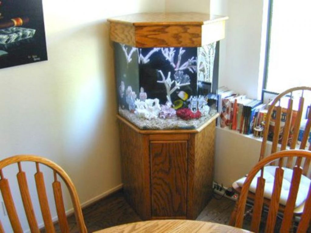 Aquarium design ideas that make your home look beauty 44