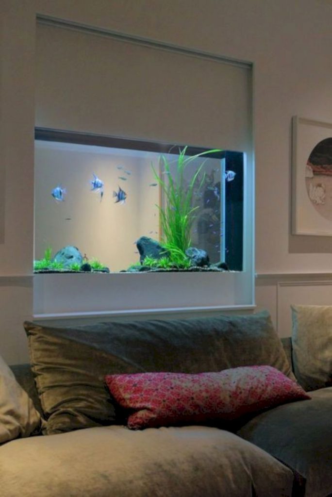 Aquarium design ideas that make your home look beauty 46