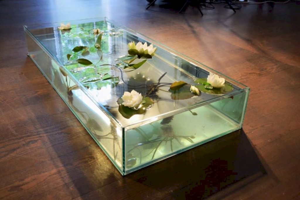 Aquarium design ideas that make your home look beauty 47