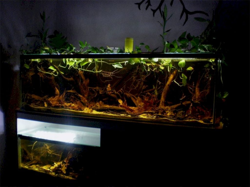 Aquarium design ideas that make your home look beauty 50