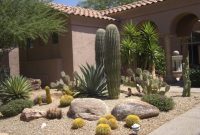 The best and stunning front yard design 14