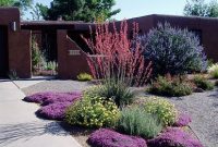 The best and stunning front yard design 34