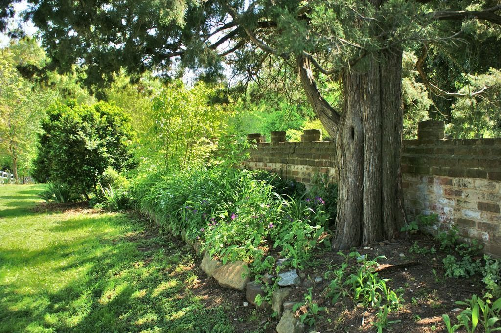 The best and stunning front yard design 36