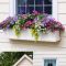 Exterior decoration ideas with flower in window 10