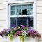 Exterior decoration ideas with flower in window 20