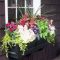 Exterior decoration ideas with flower in window 22