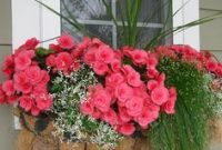 Exterior decoration ideas with flower in window 23