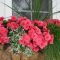 Exterior decoration ideas with flower in window 23