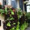 Exterior decoration ideas with flower in window 39