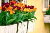 Exterior decoration ideas with flower in window 42