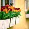 Exterior decoration ideas with flower in window 42