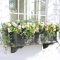 Exterior decoration ideas with flower in window 45