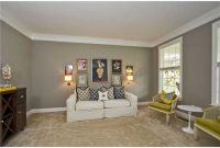 Living room gray wall color design ideas 30