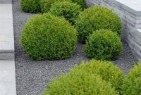 Modern&minimalist frontyard desgin ideas 39
