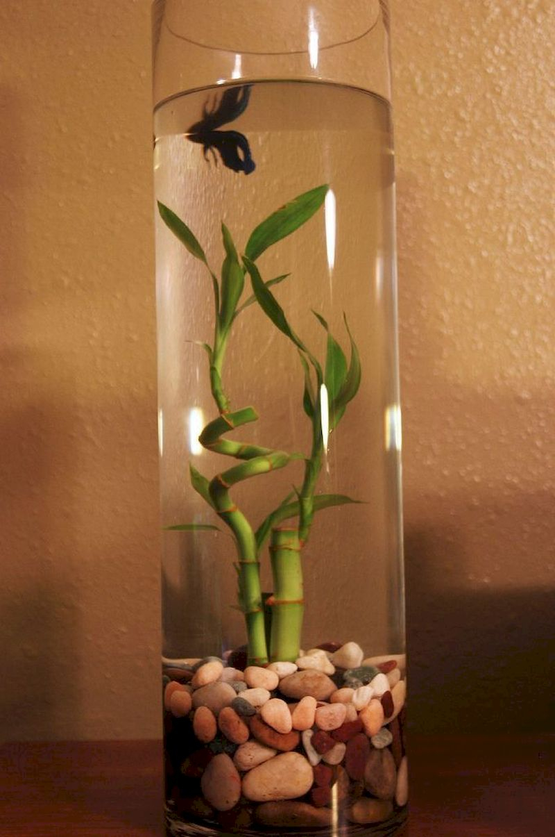 Indoor water garden ideas that fresh your room 02