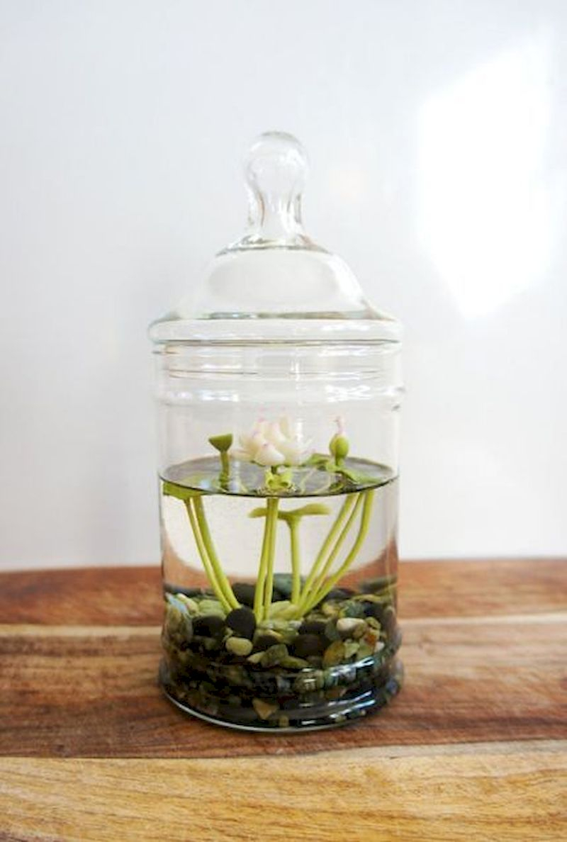 Indoor water garden ideas that fresh your room 03
