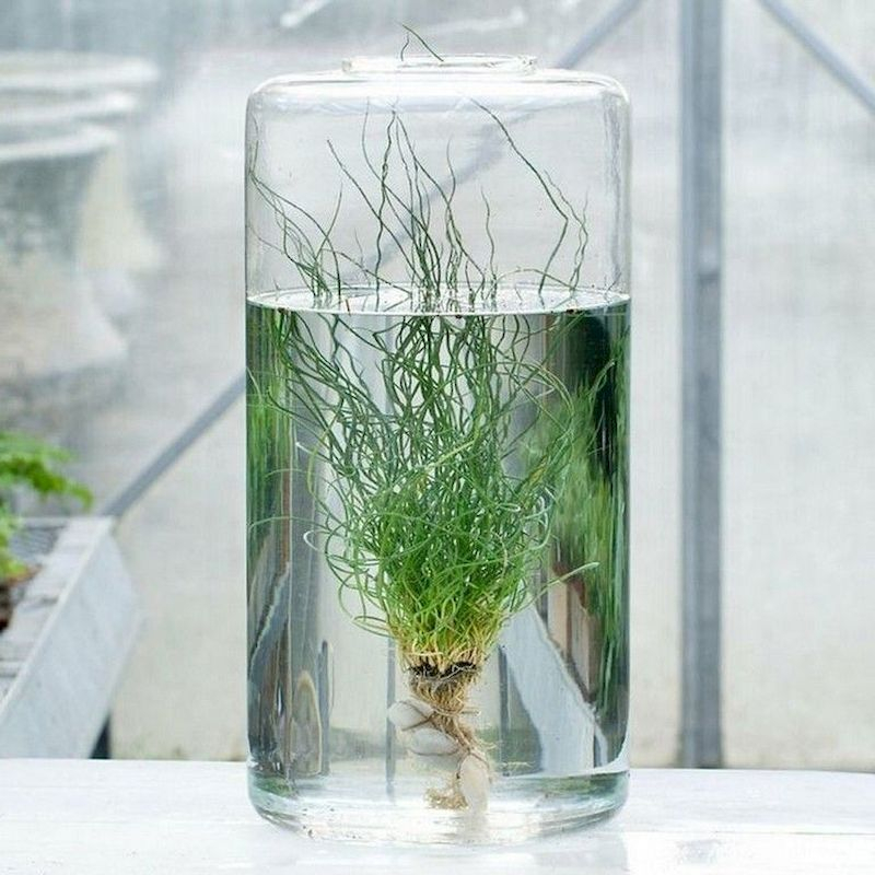 Indoor water garden ideas that fresh your room 09