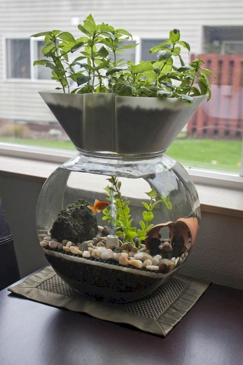 Indoor water garden ideas that fresh your room 10