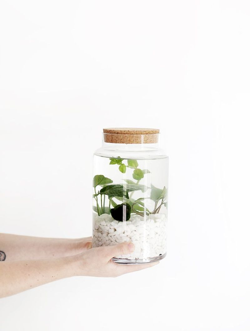 Indoor water garden ideas that fresh your room 11