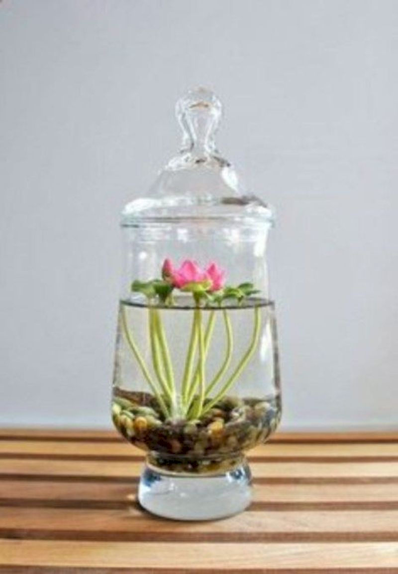 Indoor water garden ideas that fresh your room 12
