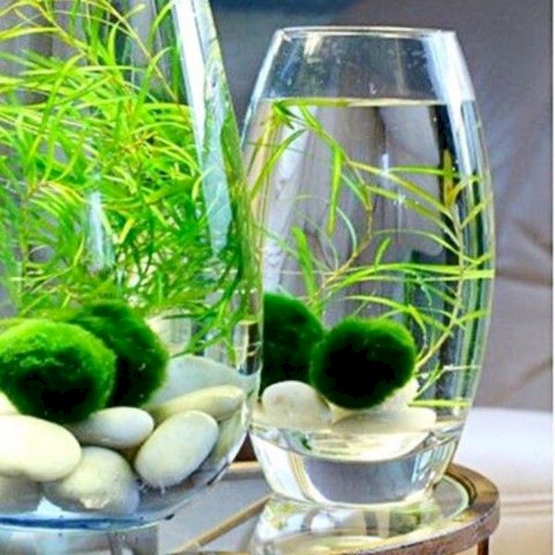 Indoor water garden ideas that fresh your room 13