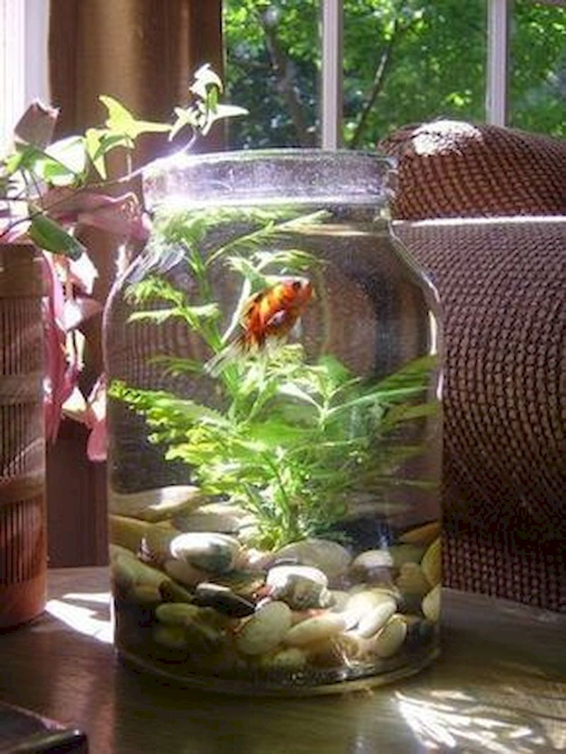 Indoor water garden ideas that fresh your room 19