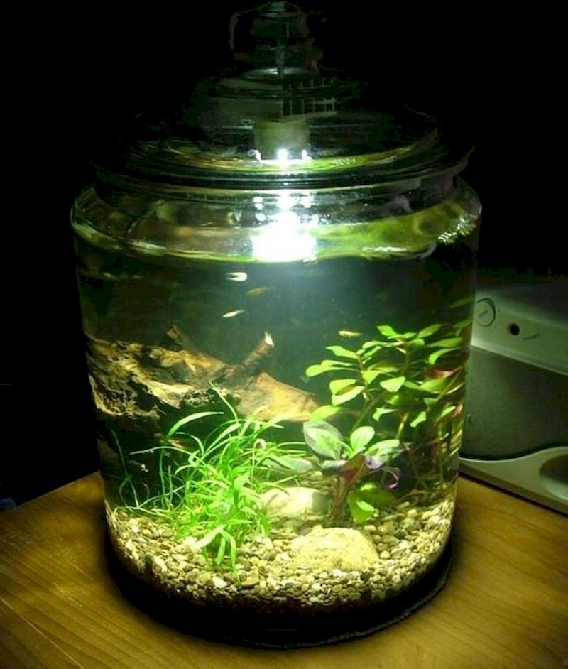 Indoor water garden ideas that fresh your room 20