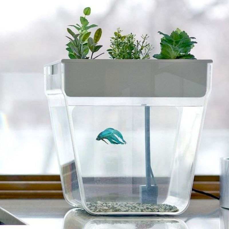 Indoor water garden ideas that fresh your room 21