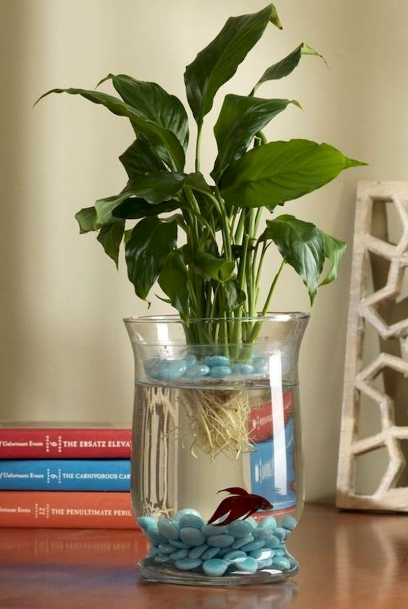 55 Indoor Water Garden Ideas That Fresh Your Room - Matchness.com