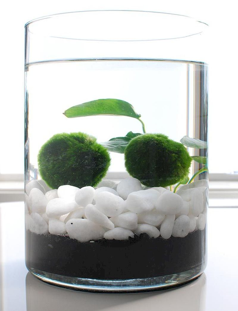 Indoor water garden ideas that fresh your room 29