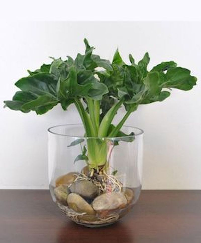 Indoor water garden ideas that fresh your room 30