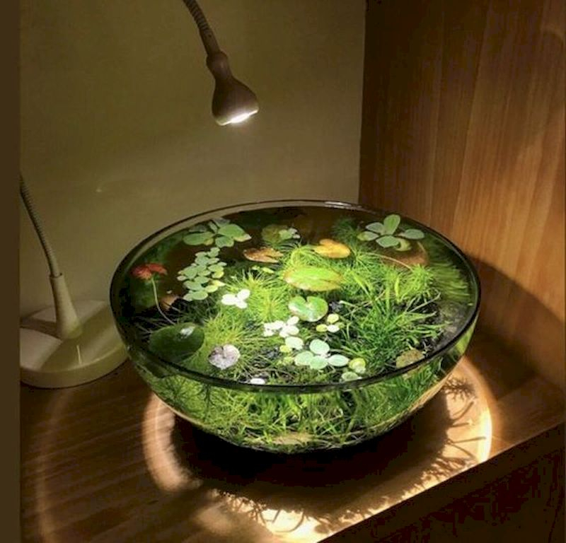 Indoor water garden ideas that fresh your room 35
