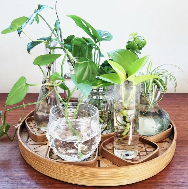 Indoor water garden ideas that fresh your room 37