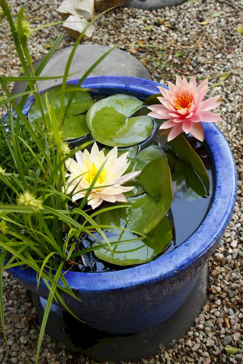 Indoor water garden ideas that fresh your room 39