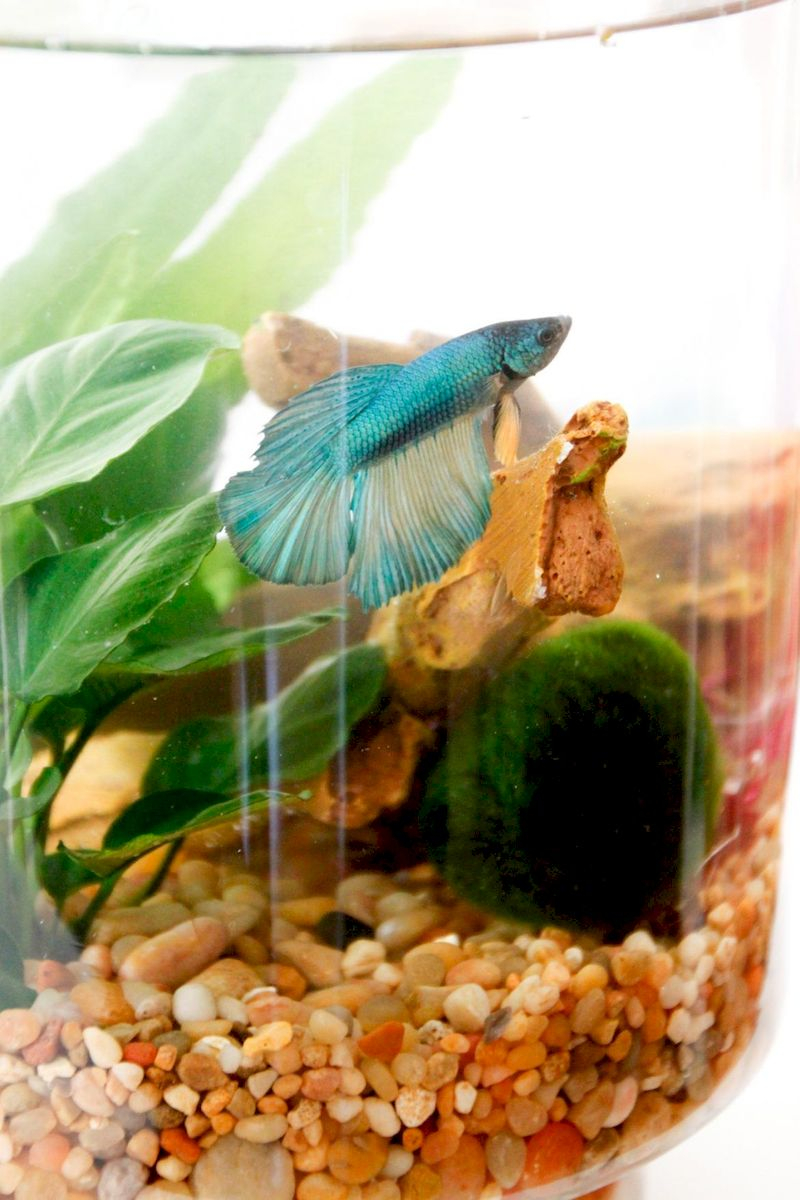 Indoor water garden ideas that fresh your room 41