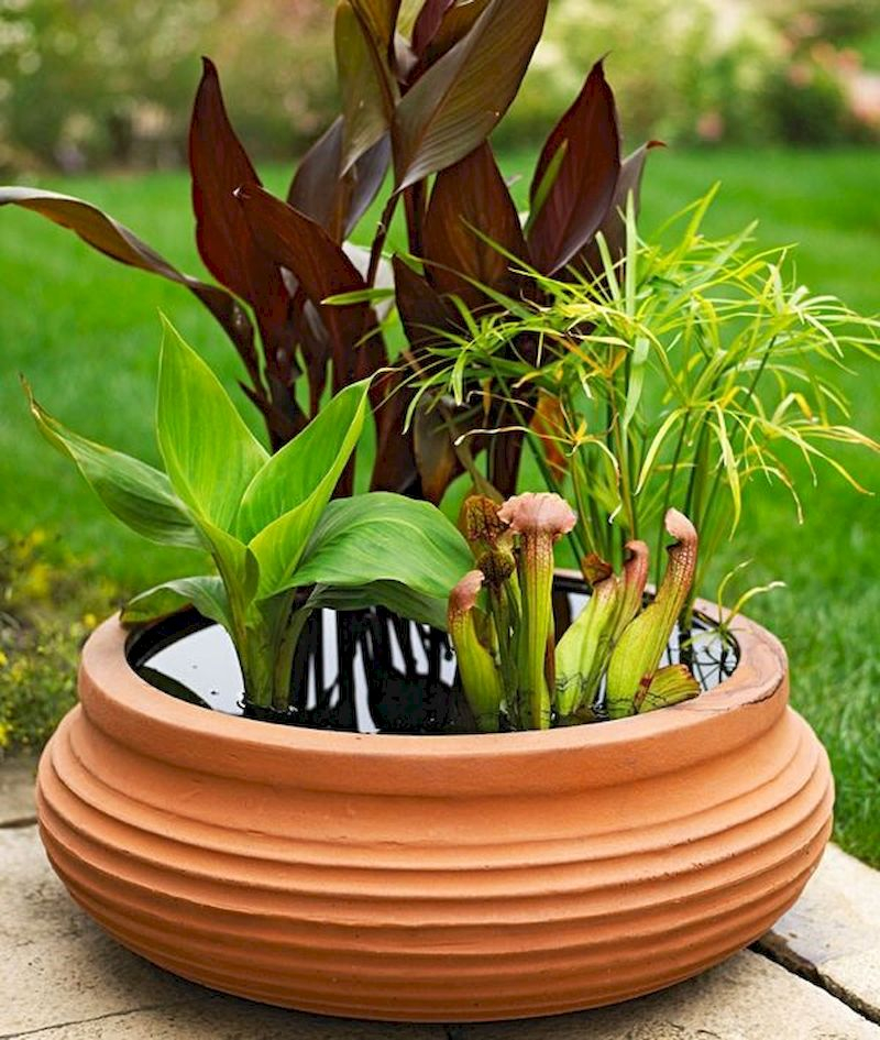 Indoor water garden ideas that fresh your room 44