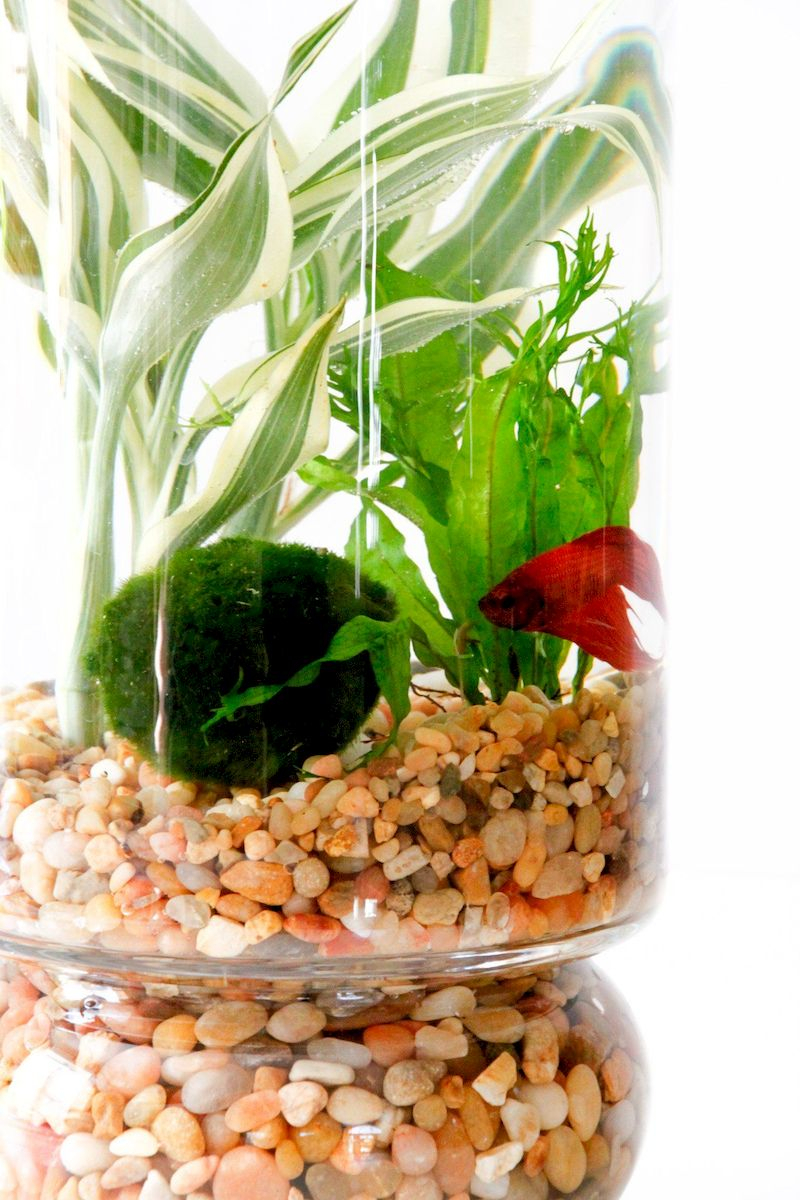 Indoor water garden ideas that fresh your room 45