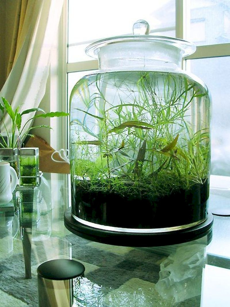 Indoor water garden ideas that fresh your room 47