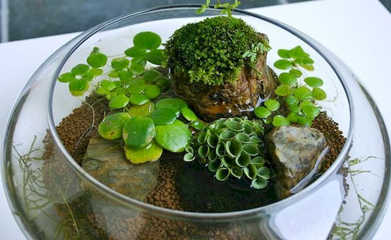 Indoor water garden ideas that fresh your room 50