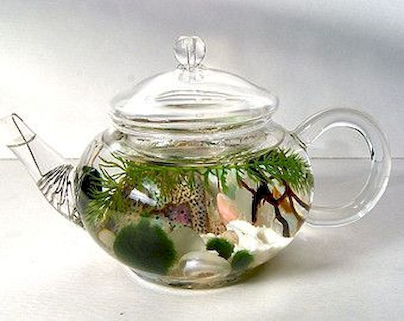 Indoor water garden ideas that fresh your room 51