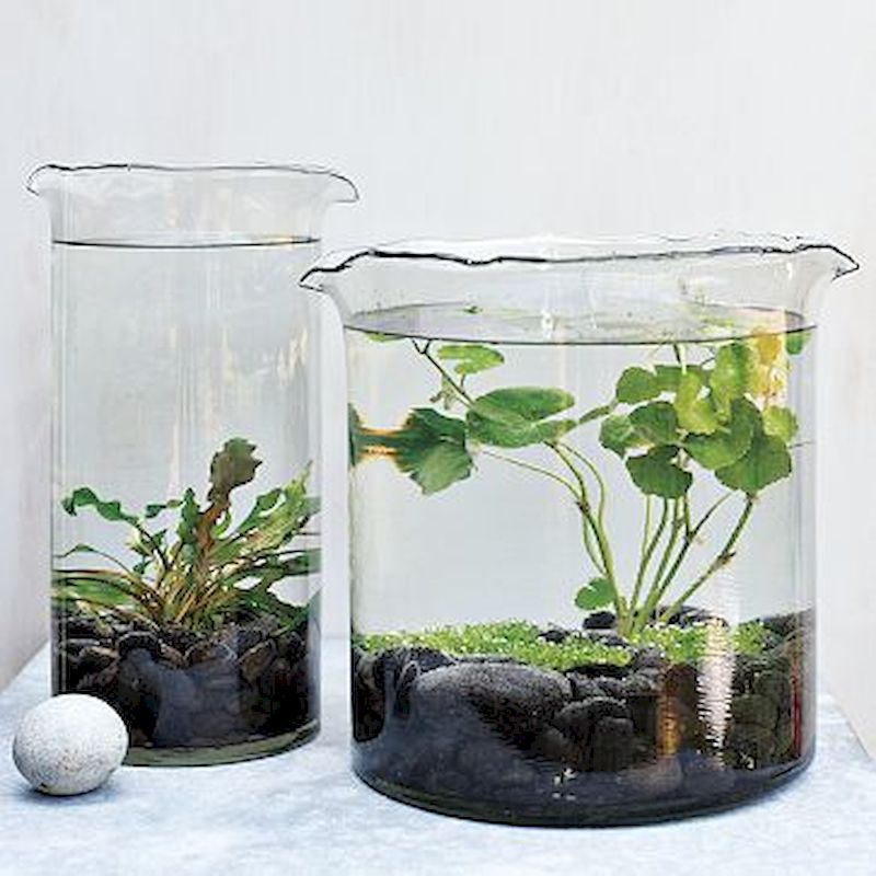 Indoor water garden ideas that fresh your room 52