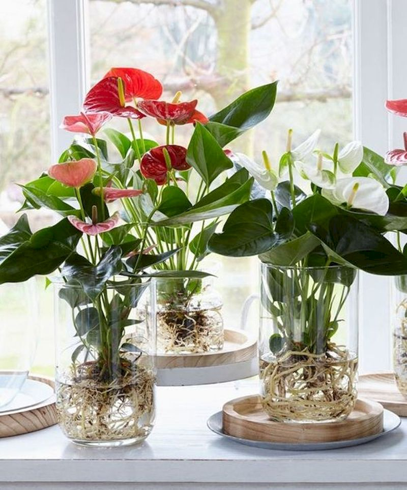 Indoor water garden ideas that fresh your room 54