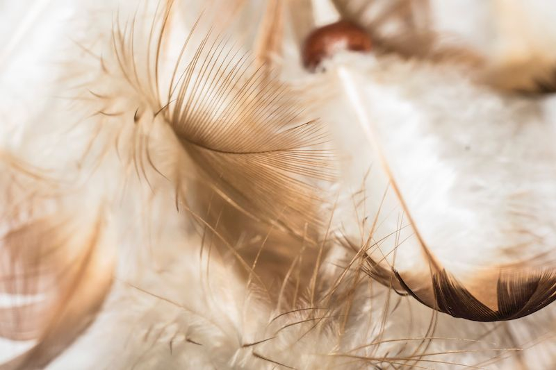 Luxury bedroom design ideas with goose feather 21