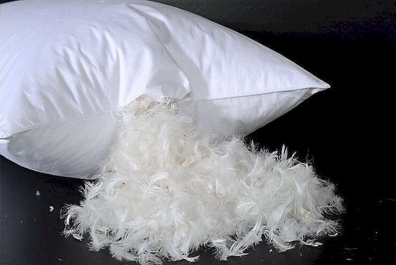 Luxury bedroom design ideas with goose feather 33
